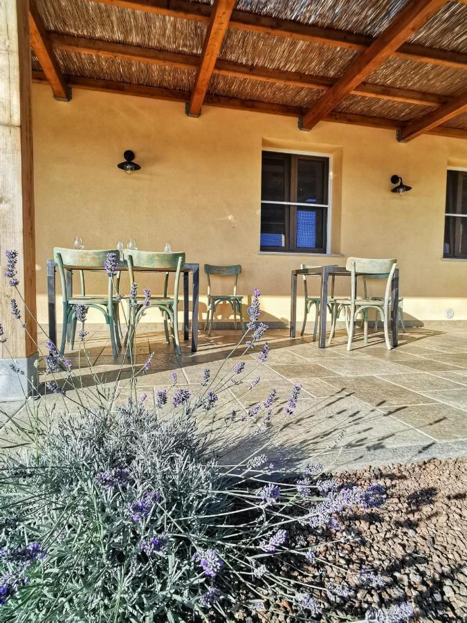 Agriturismo Casa Ricci Magliano in Toscana Exteriér fotografie