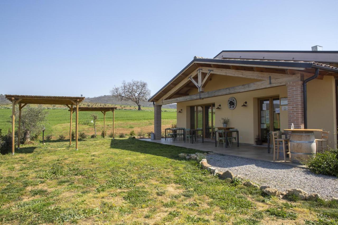 Vila Agriturismo Casa Ricci Magliano in Toscana Exteriér fotografie