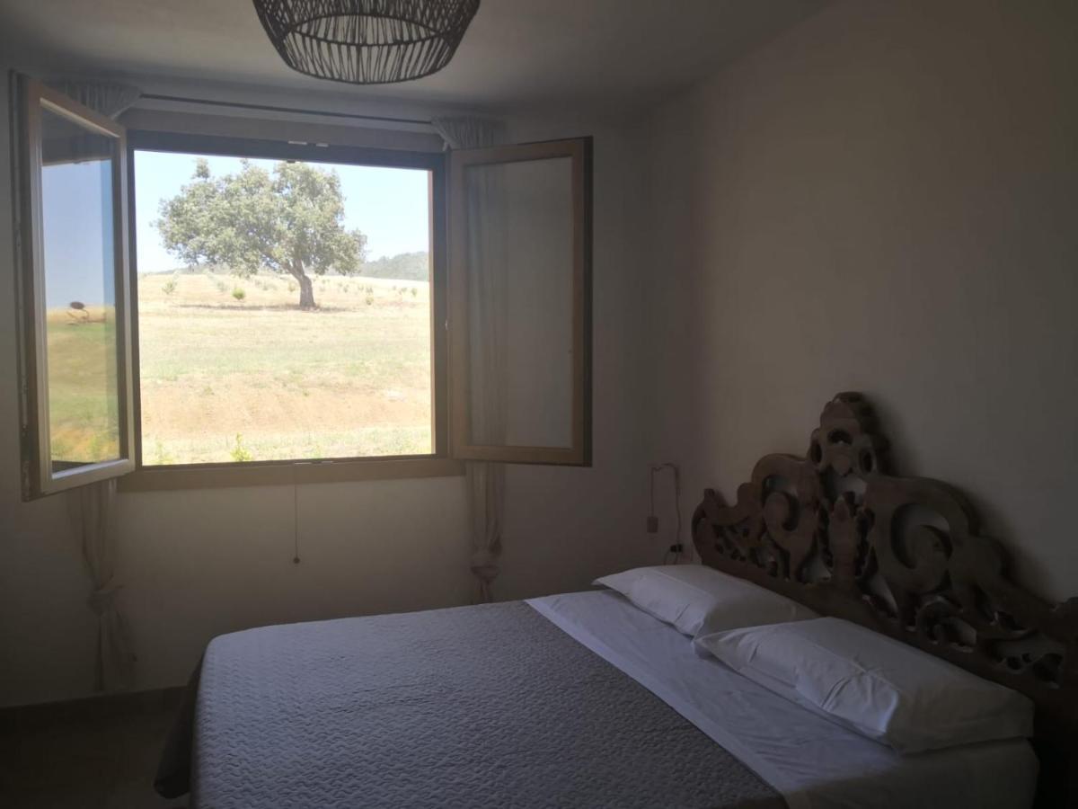 Agriturismo Casa Ricci Magliano in Toscana Exteriér fotografie
