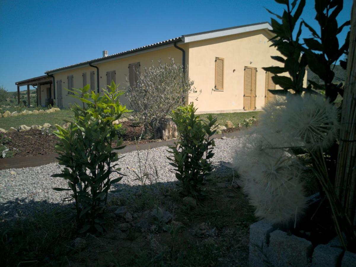 Agriturismo Casa Ricci Magliano in Toscana Exteriér fotografie
